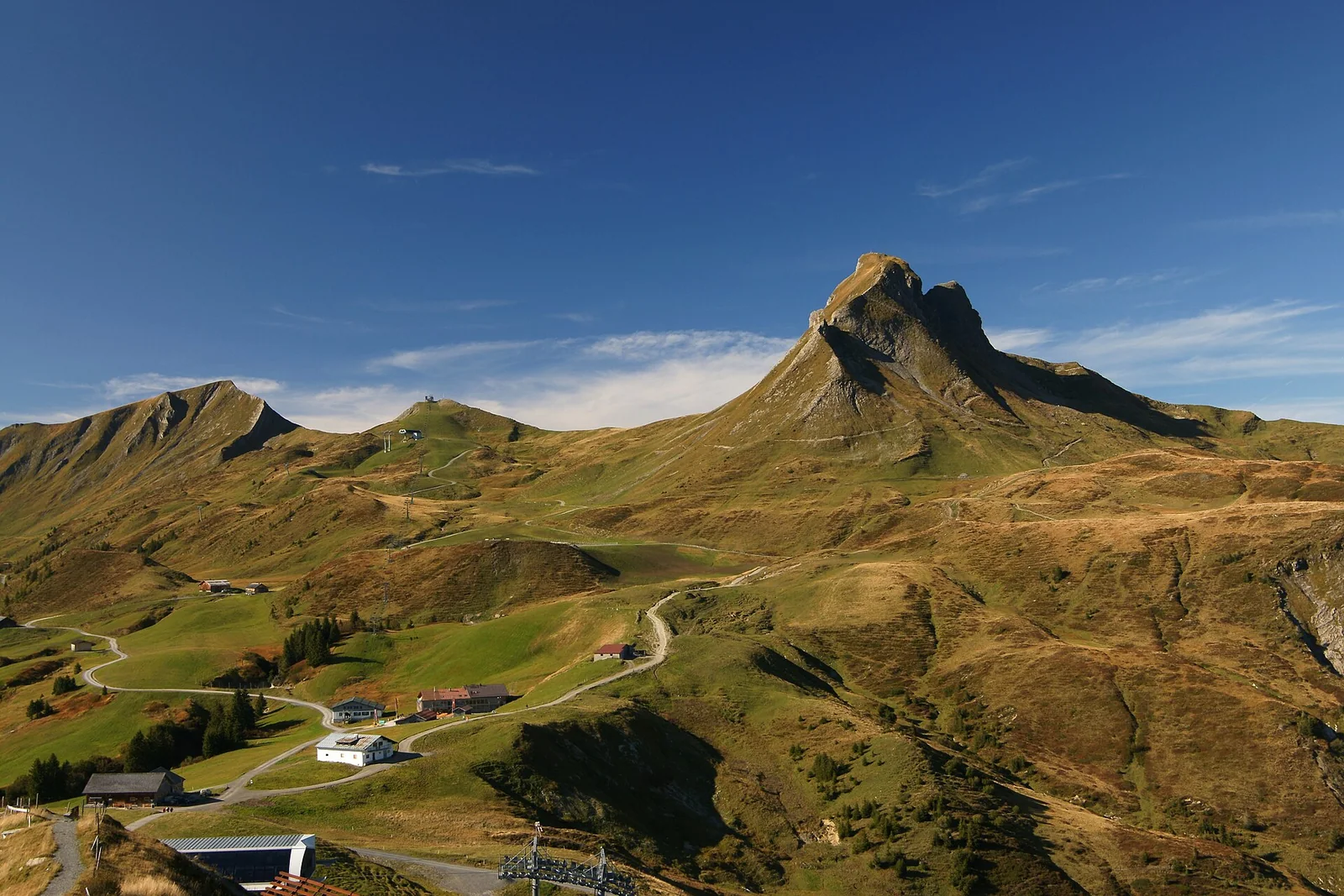 Alpiner Waldbesitz in Österreich